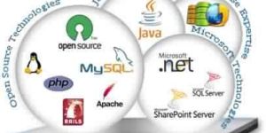 Custom Application Development Services