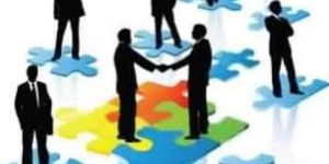 Executive Search & Selection