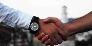 Stimulus Employee Engagement Survey