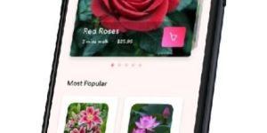 on Demand Flower Delivery App Development