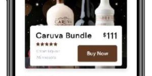 on Demand Liquor Delivery App Development