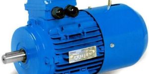 Three Phase Geared Brake Motor