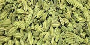 Fennel Seed