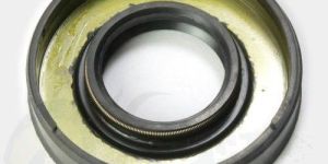 Crankshaft Oil Seals