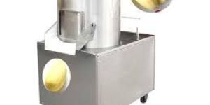 Vegetable Peeling Machine