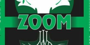 Zoom Root Stimulator