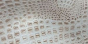 Crocodile Leather