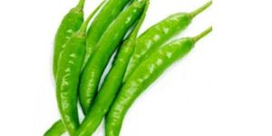 Fresh Green Chili