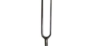 SS Tuning Fork