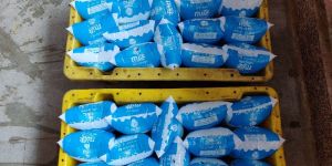 Milk Packaging and Distribution Services