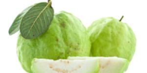 Guava Pulp
