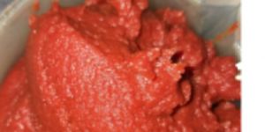 Tomato Paste