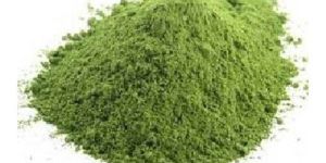 Indigo Leaves Powder