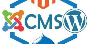 CMS Development