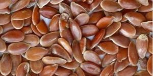 Flax Seeds