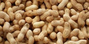 Shelled Groundnuts