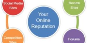Online Reputation Management Services