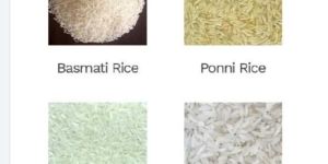 1121 White Sella Rice