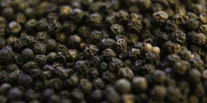 Black Pepper