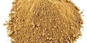 Amchur Powder