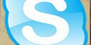 Skype Consultation Services