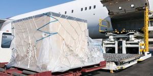 International Cargo Transportation Services