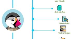 Prestashop Development