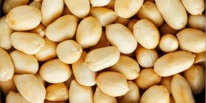 Roasted Whole Peanuts Kennels