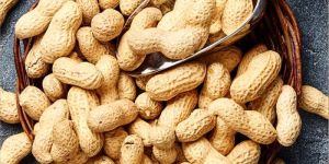 Shelled Groundnuts