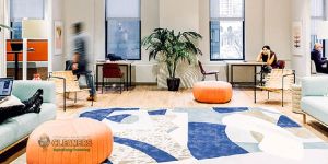 Carpet Cleaning Services