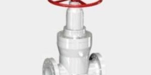 through Conduit Slab Gate Valve