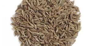 Cumin Seeds