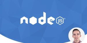 Node.js Developer Course