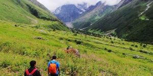 Valley of Flowers Trek Tour Package