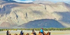 Venture Ladakh Tour Package