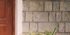 Leg Planter with Dracaena Planta