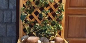 Table Top Planter with English Ivy