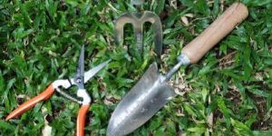 Wooden Handle Garden Tools - Set Of Three