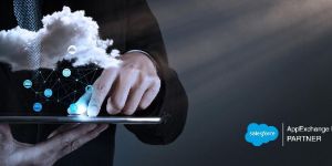 Salesforce Development Services