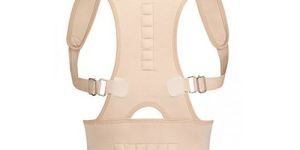 SLV Royal Posture Back Support Belt