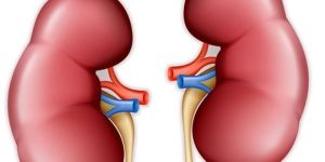 Nephrological Treatment