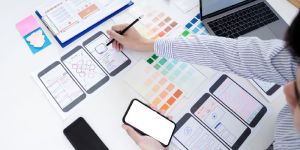 Software Application Services