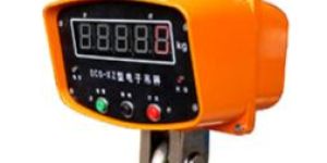 CRANE TYPE WEIGH SCALE