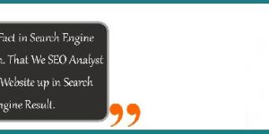 Search Engine Optimization Course