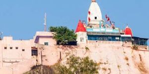 Mansa Devi Tour Services