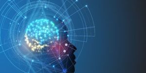 Deep Learning Course