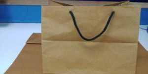 Handled Plain Paper Carry Bag