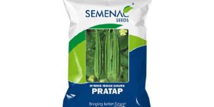 Hybrid Pratap Ridge Gourd Seeds