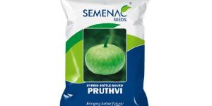 Hybrid Pruthvi Bottle Gourd Seeds