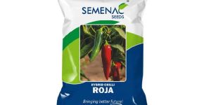 Hybrid Roja Green Chilli Seeds